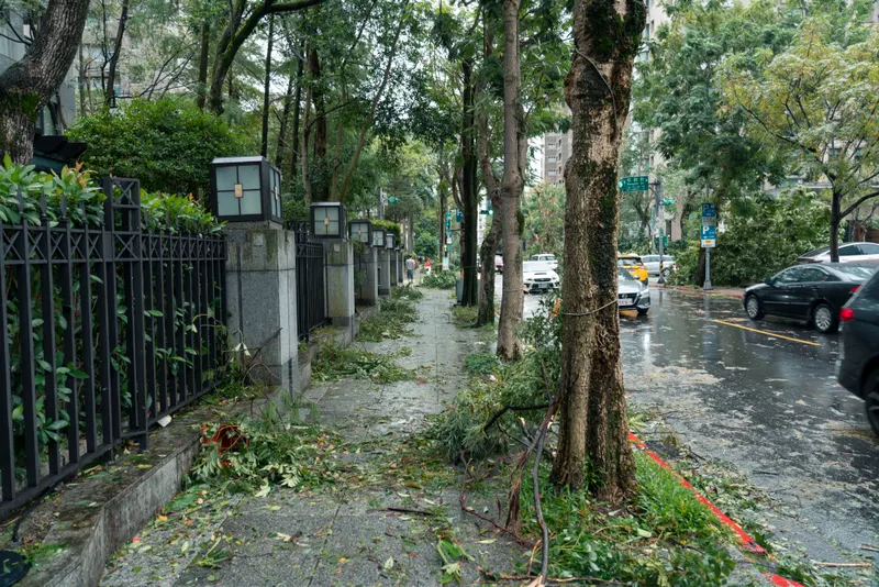 Standards-Based Even Under Storm Pressure
