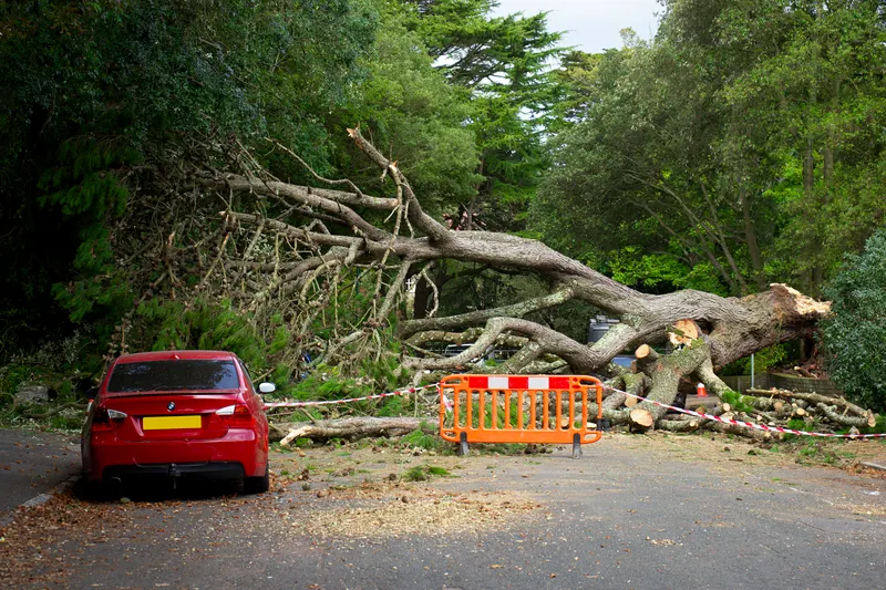 Storm Cleanup on Fairview's Large, Exposed Lots