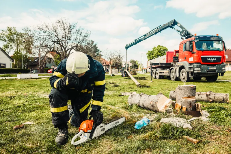 Large & Hazardous Tree Removal